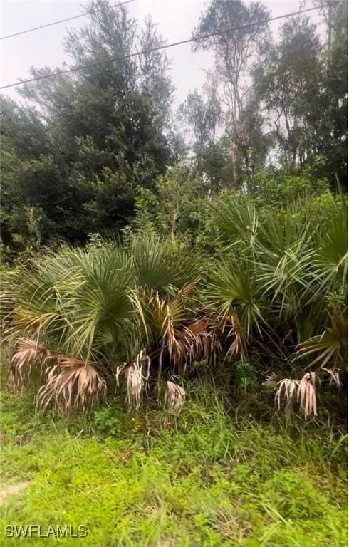 706 Delridge Ave S, Lehigh Acres, FL 33974