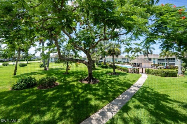 325 Charlemagne Blvd Unit C204, Naples, FL 34112 - view of home's community with a lawn