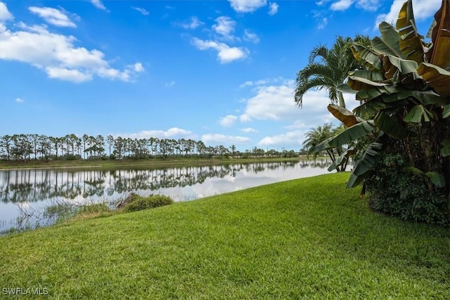 1087 Port Orange Way, Naples, FL 34120 - water view
