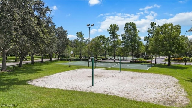 1087 Port Orange Way, Naples, FL 34120 - surrounding community with volleyball court, community basketball court, and a lawn