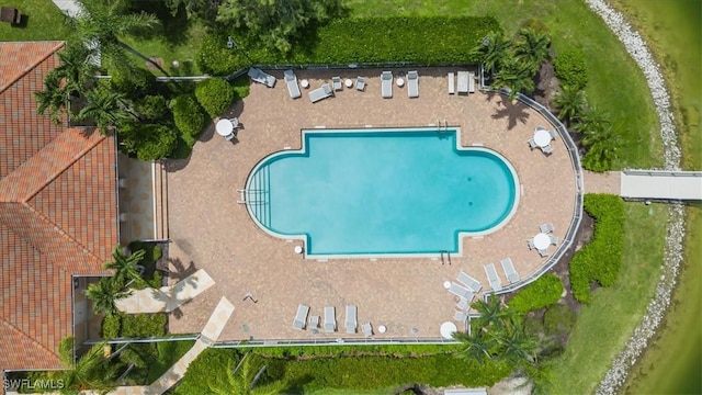 1087 Port Orange Way, Naples, FL 34120 - view of swimming pool