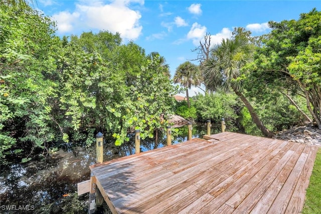 27136 Belle Rio Dr, Bonita Springs, FL 34135 - photo 34