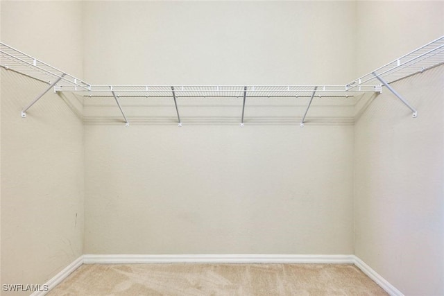 11758 Izarra Way Unit 7703, Fort Myers, FL 33912 - spacious closet featuring light carpet