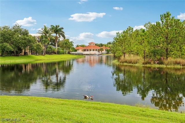 265 Shellstone Ct, Naples, FL 34119 - photo 32