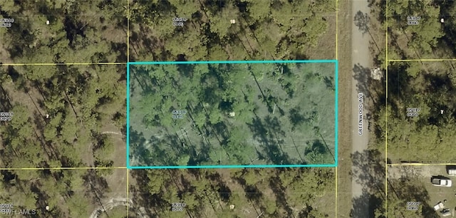 1311 Greenwood Ave, Lehigh Acres, FL 33972 - photo 1