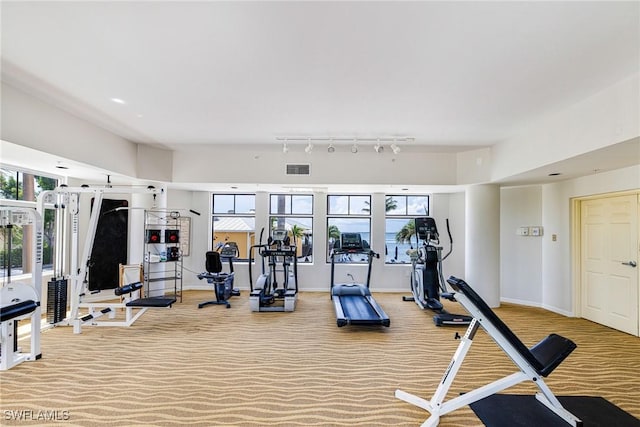 8771 Estero Blvd Unit 607, Fort Myers Beach, FL 33931 - gym with light carpet, rail lighting, and healthy amount of natural light