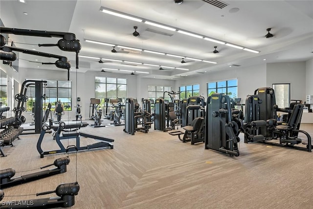 15436 Turin Dr, Naples, FL 34114 - photo 50