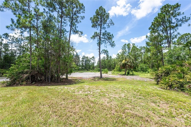 2790 Randall Blvd, Naples, FL 34120 - view of grassy yard