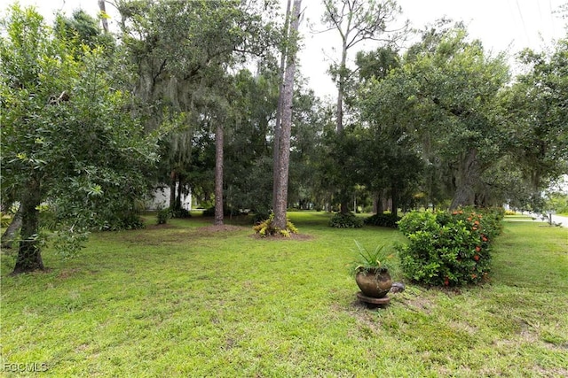 1530 Werner Dr, Alva, FL 33920 - photo 45