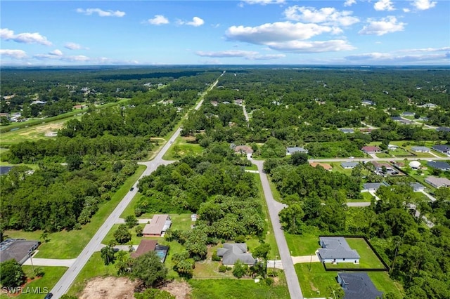 873 Spaulding St E, Lehigh Acres, FL 33974 - bird's eye view of a forest