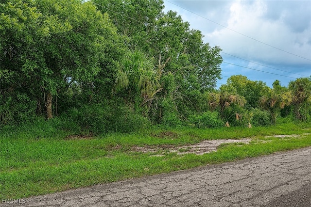 613 Grant Blvd, Lehigh Acres, FL 33974