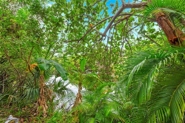 1741 45th Ter SW, Naples, FL 34116 - photo 30