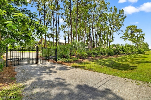25211 Luci Dr, Bonita Springs, FL 34135 - photo 3