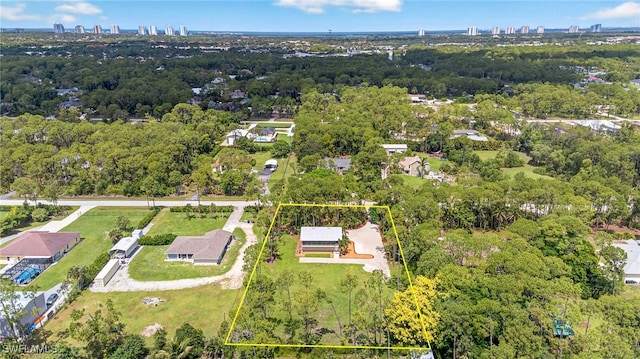 25211 Luci Dr, Bonita Springs, FL 34135 - photo 28