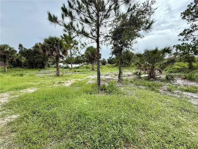 811 Thompson Ave, Lehigh Acres, FL 33972 - photo 38