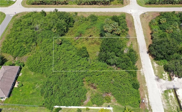 4117 17th St SW, Lehigh Acres, FL 33976