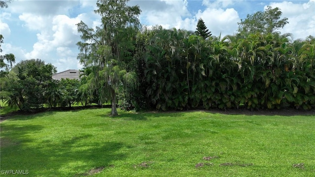 12803 Maiden Cane Ln, Bonita Springs, FL 34135 - photo 26