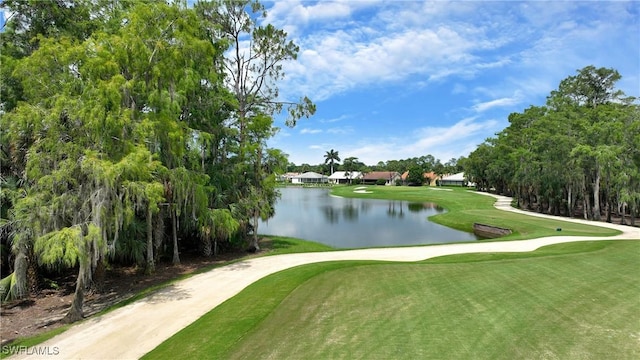 12803 Maiden Cane Ln, Bonita Springs, FL 34135 - photo 28