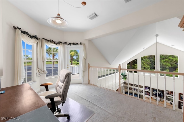 4450 Blue Sage Ct, Bonita Springs, FL 34134 - photo 21