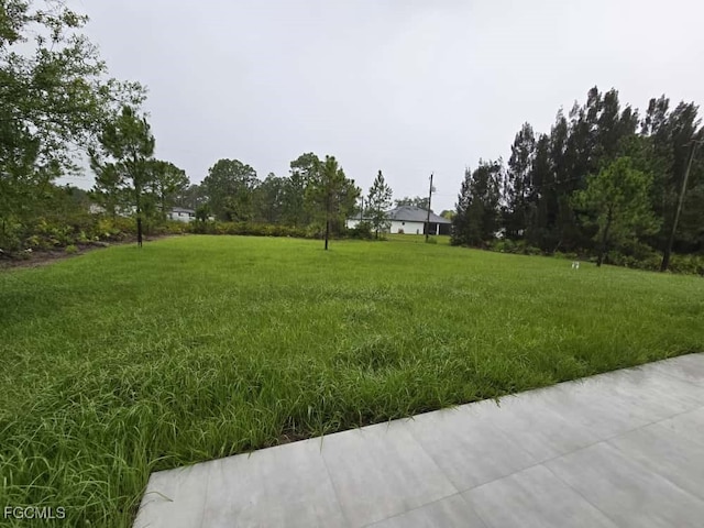 1403 Wagner Ave, Lehigh Acres, FL 33972 - photo 21