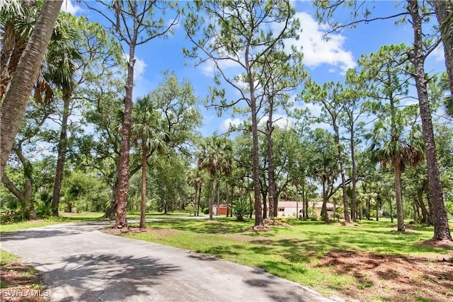 18381 Panther Trail Ln, North Fort Myers, FL 33917 - view of property's community with a lawn and asphalt driveway