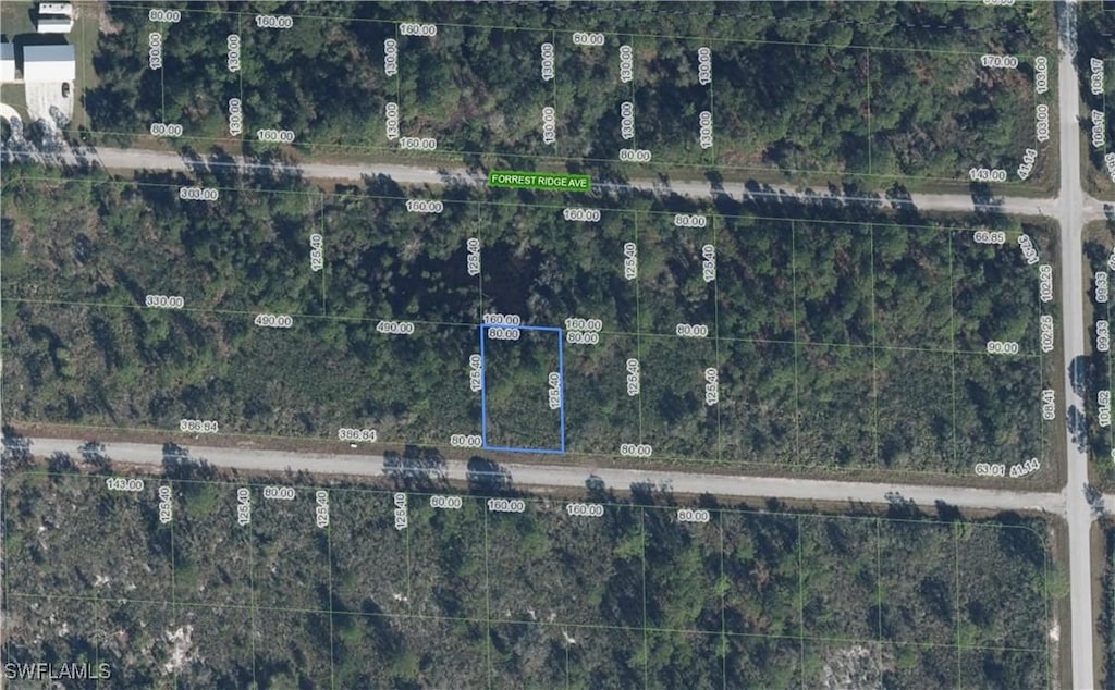 3413 Pheasant Ave, Lake Placid, FL 33852 - photo 1