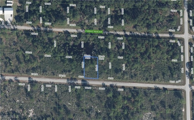 3413 Pheasant Ave, Lake Placid, FL 33852