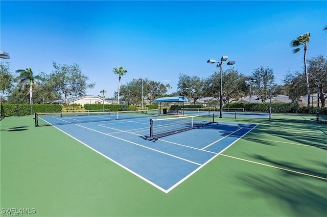 8644 Ibis Cove Cir, Naples, FL 34119 - view of tennis court with community basketball court