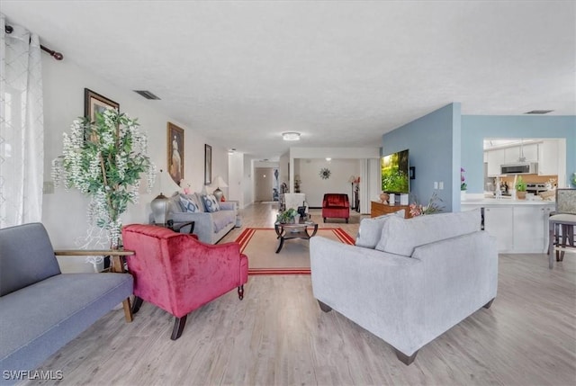 20013 Petrucka Cir N, Lehigh Acres, FL 33936 - living room with light wood-style flooring