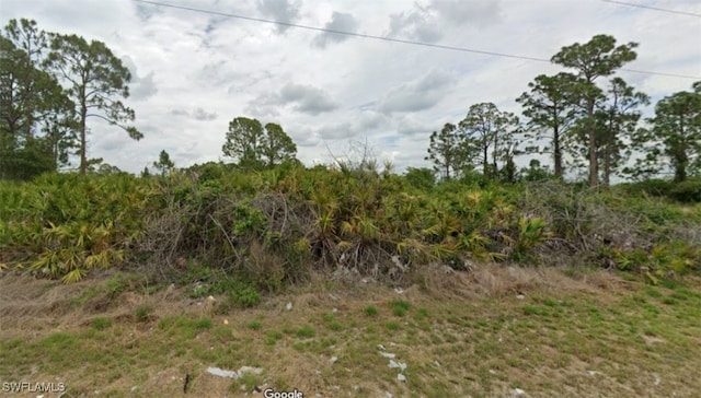 1247 Antonio St E, Lehigh Acres, FL 33974