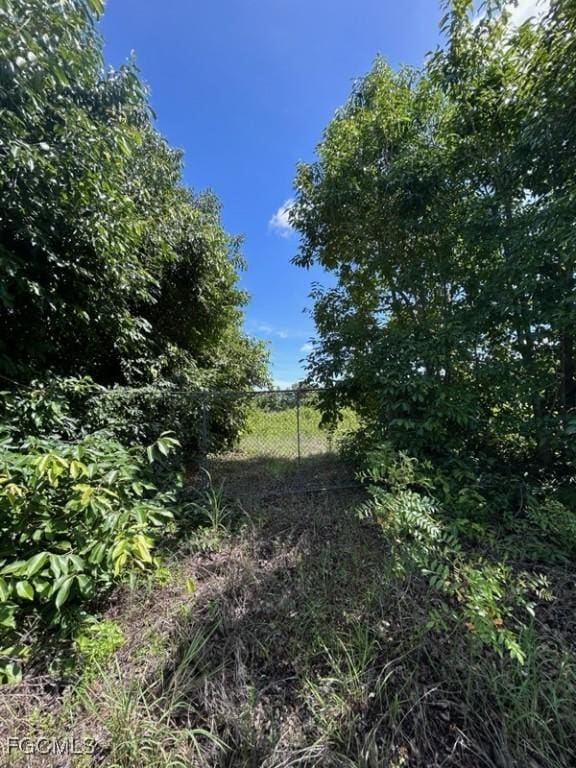 7644 8th Pl, Labelle, FL 33935 - photo 3