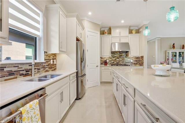 8142 Lucello Ter S, Naples, FL 34114 - kitchen with appliances with stainless steel finishes, under cabinet range hood, white cabinetry, tasteful backsplash, and light countertops