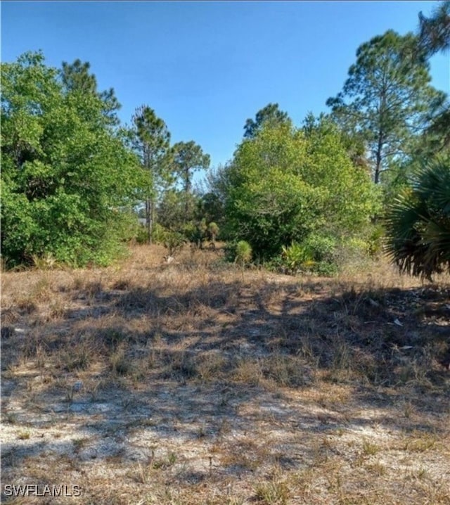 1406 Henry Ave, Lehigh Acres, FL 33972