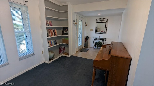 169 SE 21st St, Cape Coral, FL 33990 - hallway featuring healthy amount of natural light, carpet flooring, and built in shelves