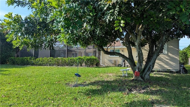 169 SE 21st St, Cape Coral, FL 33990 - view of green lawn