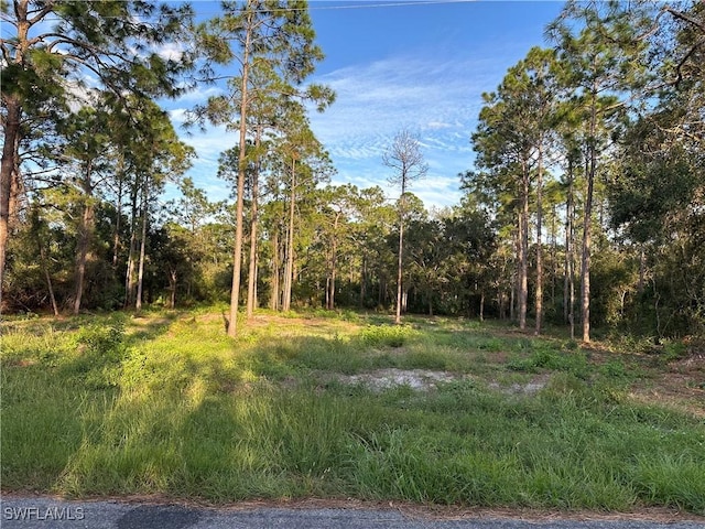 1614 8th Ave, Lehigh Acres, FL 33972