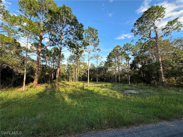 1614 8th Ave, Lehigh Acres, FL 33972