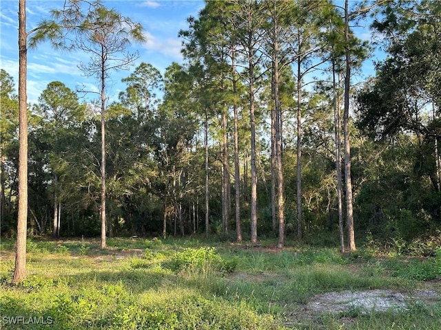 1614 8th Ave, Lehigh Acres, FL 33972