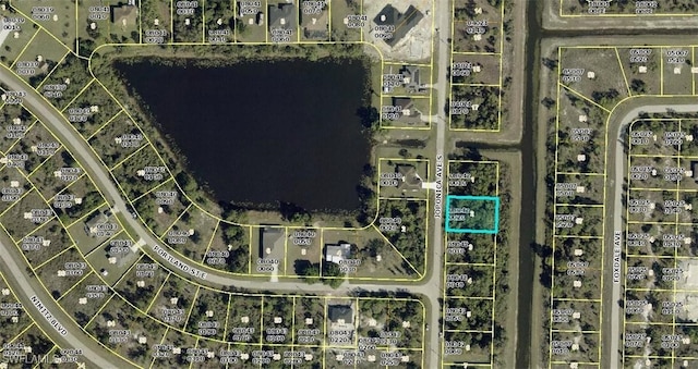 941 Joponica Ave S, Lehigh Acres, FL 33974
