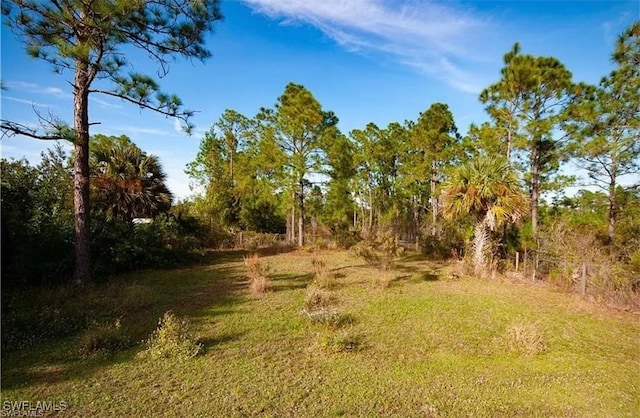 3265 58th Ave NE, Naples, FL 34120 - photo 2