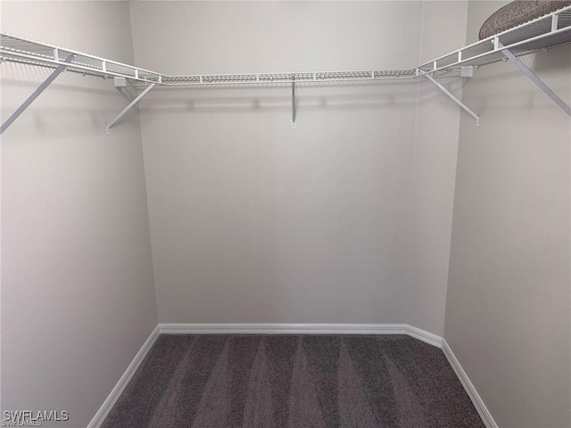 1915 Courtyard Way Unit G102, Naples, FL 34112 - walk in closet with carpet flooring