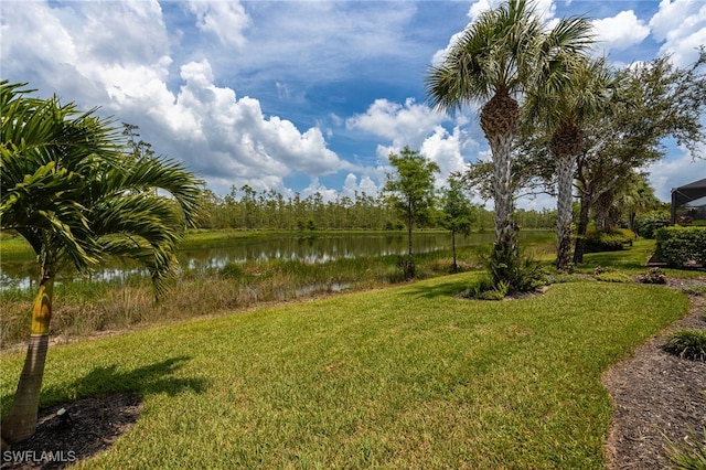 20446 Black Tree Ln, Estero, FL 33928 - photo 33