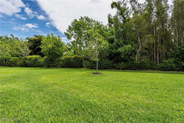 4334 Dutchess Park Rd, Fort Myers, FL 33916 - photo 29