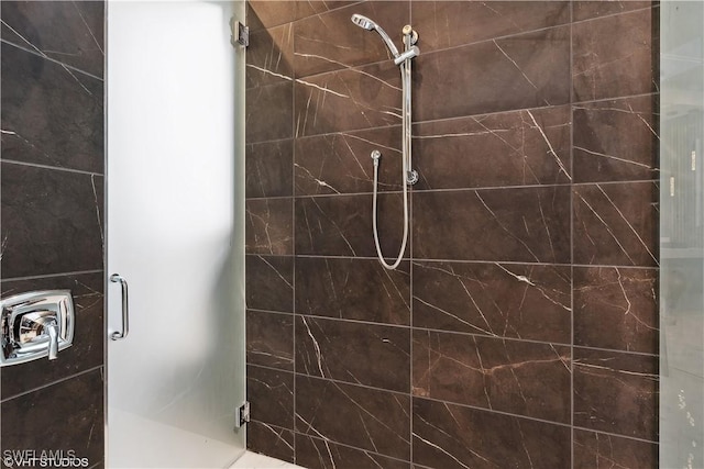 10411 Via Parma Way, Miromar Lakes, FL 33913 - bathroom with a shower stall