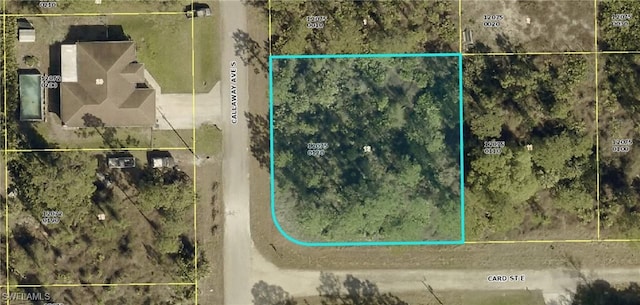 1017 Card St E, Lehigh Acres, FL 33974 - photo 2