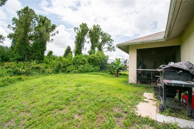 4856/4858 24th St SW, Lehigh Acres, FL 33993 - view of green lawn with a trampoline