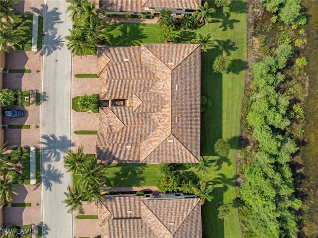 28030 Cookstown Ct Unit 2903, Bonita Springs, FL 34135 - photo 42