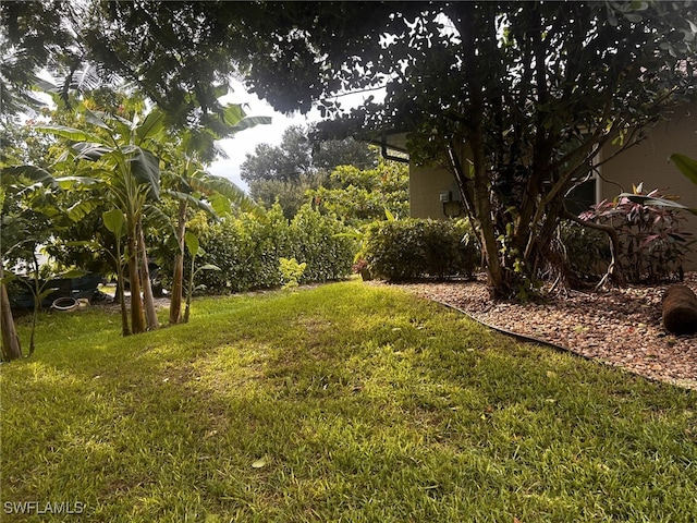 3101 12th St W, Lehigh Acres, FL 33971 - view of grassy yard