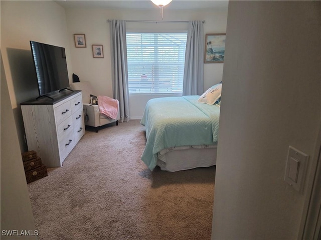 8868 E Cascade Price Cir, North Fort Myers, FL 33917 - bedroom featuring light colored carpet