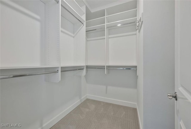 4184 Sonoma Oaks Cir, Naples, FL 34119 - walk in closet featuring carpet